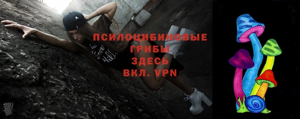 амф Горняк