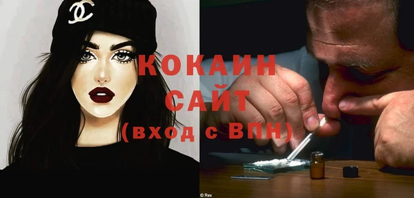 амф Горняк