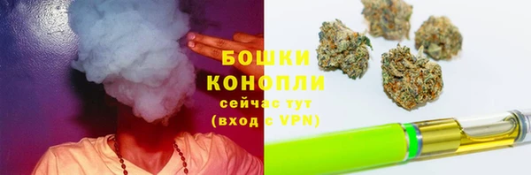 амф Горняк