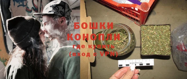 амф Горняк