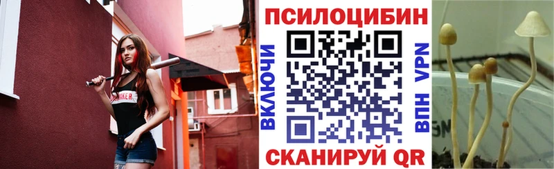 Купить  Пудож  Галлюциногенные грибы ЛСД 