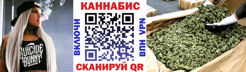 Купить  Пудож  Бошки Шишки план 